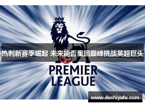 热刺新赛季崛起 未来能否重回巅峰挑战英超巨头