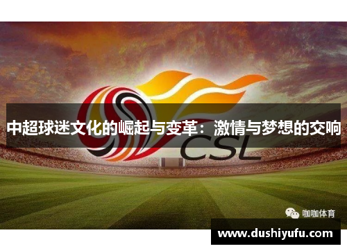 中超球迷文化的崛起与变革：激情与梦想的交响
