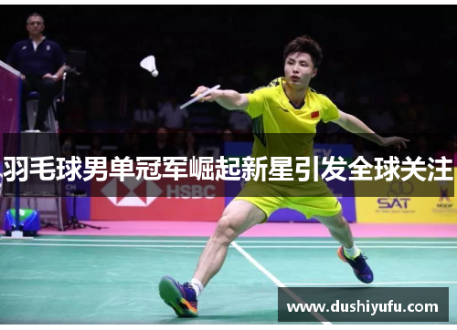 羽毛球男单冠军崛起新星引发全球关注